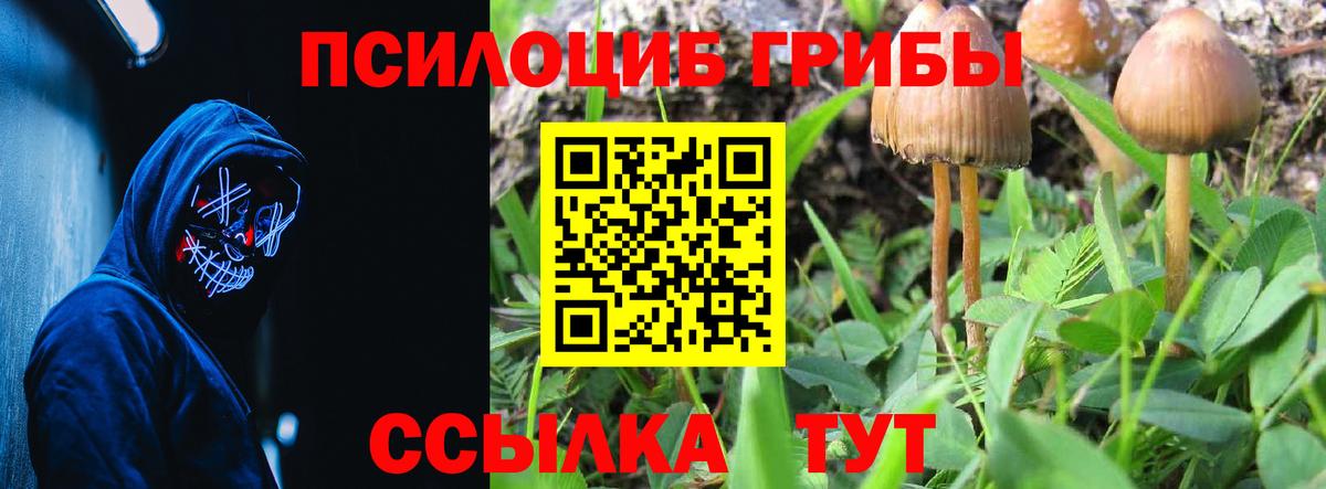 Псилоцибиновые грибы Cubensis Нефтекамск