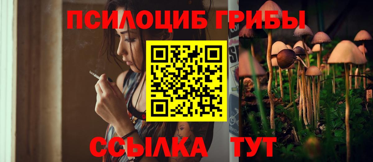 Псилоцибиновые грибы Psilocybine cubensis  купить  цена  Нефтекамск  Вход с VPN  Галлюциногенные грибы Psilocybine cubensis 